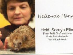 Heilende Hände Heidi Soraya Elhs