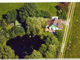 Hundetraum Friedrichskoog