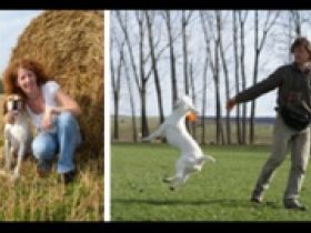 "hündisch sprechen – naturnah ausbilden"