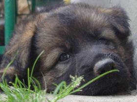 vom alten Wingertshaus