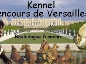 Lencours de Versailles
