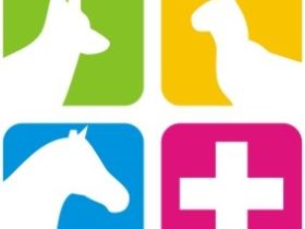 thplev.de Physiotherapie & Heilkunde am Tier Natascha Dahm