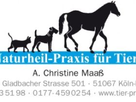 Naturheilpraxis für Tiere in Köln-Holweide
