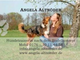 Hundetrainerin nach dem Rudelkonzept