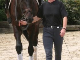 Tierphysiotherapie Höing und Hilgers