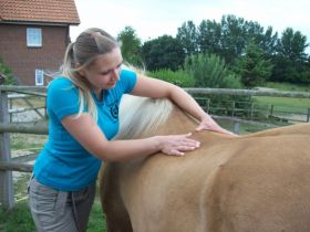 Praxis für Tierphysiotherapie Iris Stohr