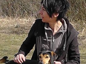 Hundeschule Prima Hunde