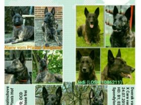 Vom Pfälzer Bergland