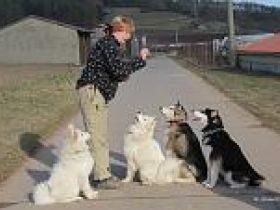 Coach für Mensch und Hund