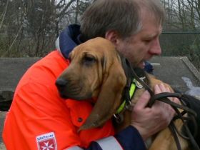 Hundeschule Trailschule Osnabrück