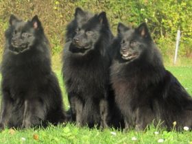 von Burg Hilpernstein