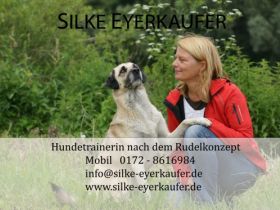 Hundetrainerin nach dem Rudelkonzept