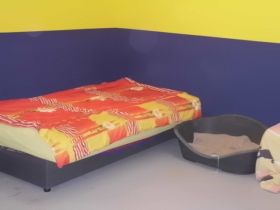 Hundeschule4Pfoten mit Hundepension