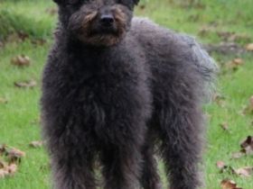 Andrea`s kleine Stürme