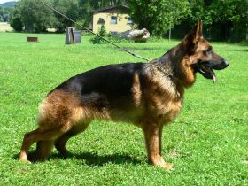 von der Etterstrasse