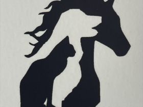 Tiernaturheilpraxis  Lebensfreude