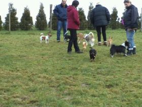 Hundeschule Oberberg in Lindlar