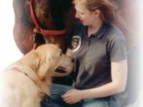 Alstertierheilpraxis