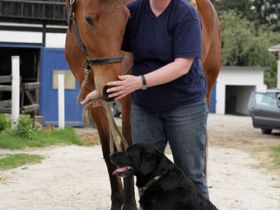 Tier Physio Center Wuppertal / NRW
