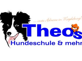 Theos Hundeschule und mehr