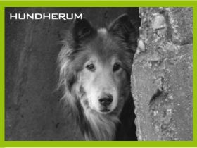 Hundherum »alltagstauglich und individuell«