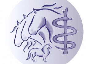 Tiernaturheilpraxis für Hunde & Pferde
