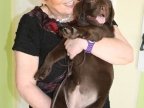 Tierheilpraktikerin mit mobilen Praxis