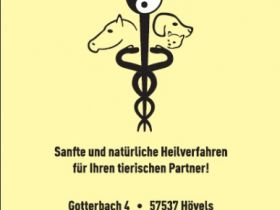 Tiernaturheilpraxis Katharina Reifenrath