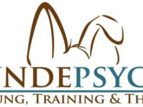 Hundepsyche * Beratung , Training & Therapie *