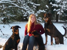 Hundefee - mobiles Hundetraining