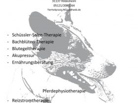 Tierheilpraxis-Majas