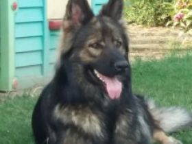 vom altdeutschen Stolz