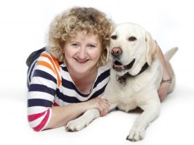 Hundephysiotherapie  Karola Stumpf