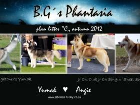 B.G´s Phantasia