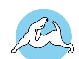 Hundephysiotherapie Sophia Strauß