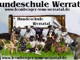 Hundeschule Werratal