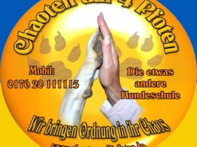 Chaoten auf 4 Pfoten