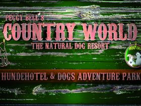 Hundepension Peggy Bells Country World