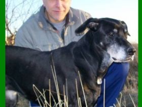 Michael Stephan  Hundetrainer -Verhaltenstherapeut