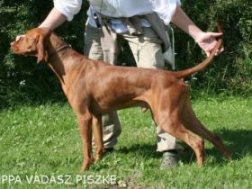 Luppa-Vadász Piszke