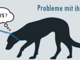 Hundetraining TogetherStrong