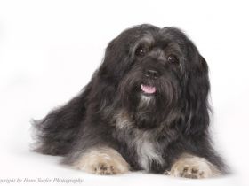 Cooper (Cubain's Magic Ycetto)