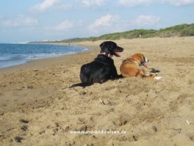 Hundewanderung in der Toskana, Mai+Okt
