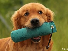 von der schwäbischen Toskana