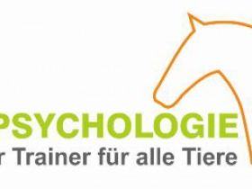 Tierpsyschologie Harz und mobile Hundeschule