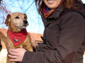 Mobile Hundeschule CommuniCanis Berlin