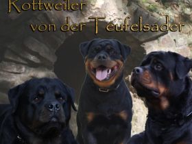 von der Teufelsader