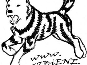 Motzbiene Hunde-Verhaltensberatung