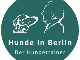 Hunde in Berlin - Der Hundetrainer