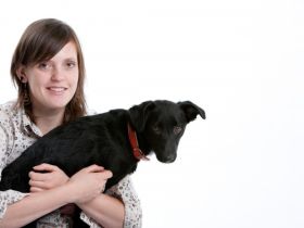 LangeLeine Hundetraining